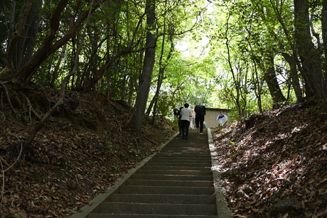 登山の様子